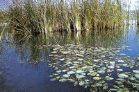 Casse di espansione del fiume Secchia - IAT Informazione e Accoglienza Turistica Reggio Emilia